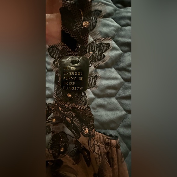 NWT DITA VON TEESE Rose Glambition Bra - Size 32DDD/F - Picture 9 of 15